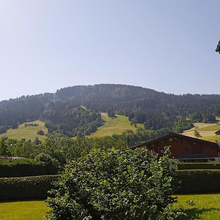 Апартаменты Studio Praz Sur Arly Экстерьер фото